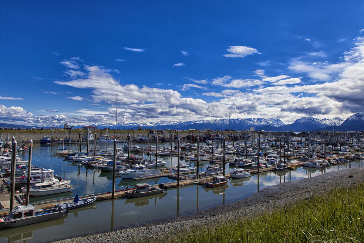 Pier Homer-Sven Michalczak